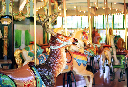 merry go round